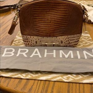 Brahmin Purse